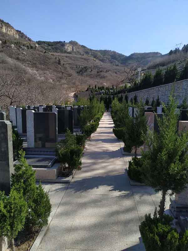 太甲山陵園景觀