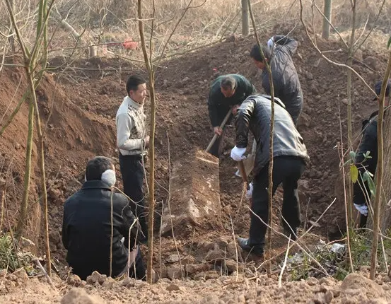 遷墳的講究